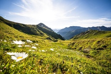 Blick in Richtung Alp Trider Sattel.